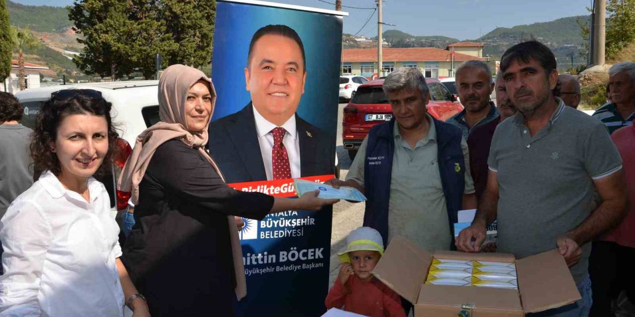 Alanyalı 91 Çiftçiye Tarımsal Hibe Desteği Verildi