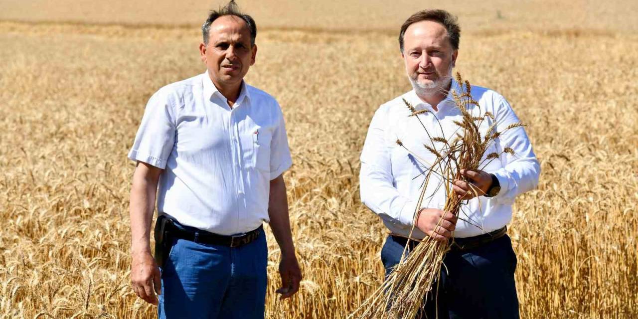 Karesi Belediyesi Tarımsal Kalkınmayı Destekliyor