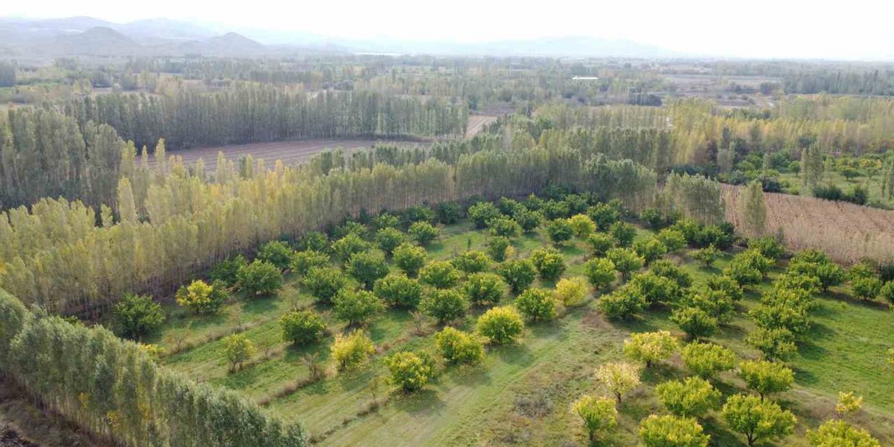 İrem Bağları’nda Sonbahar Güzelliği