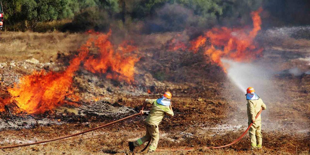 Muğla’da Bin 144 Personelle Orman Yangını Tatbikatı