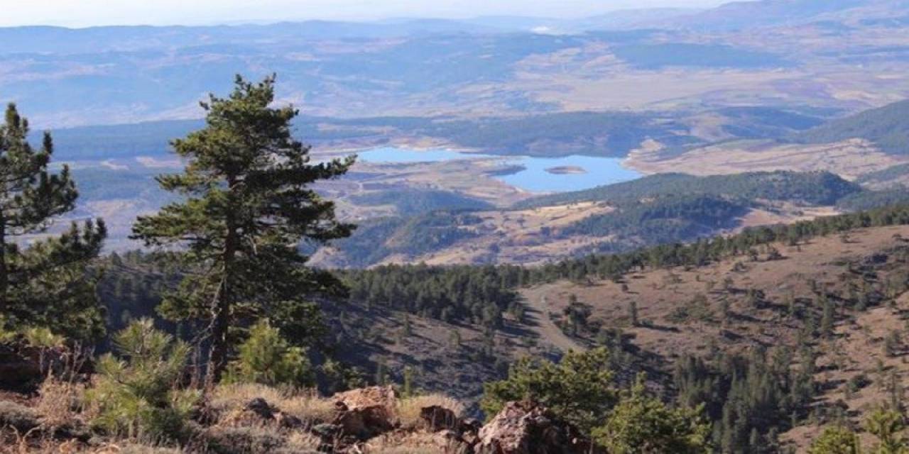 Murat Dağı’nda Altın Madeni Arama Başvurusuna Onay Çıkmadı