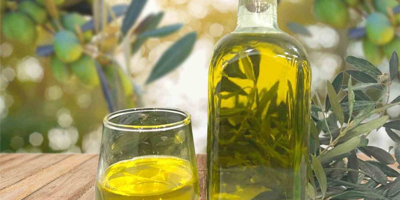 Aydın Memecik Zeytinyağı, Avrupa Birliği’nde İlan Edildi