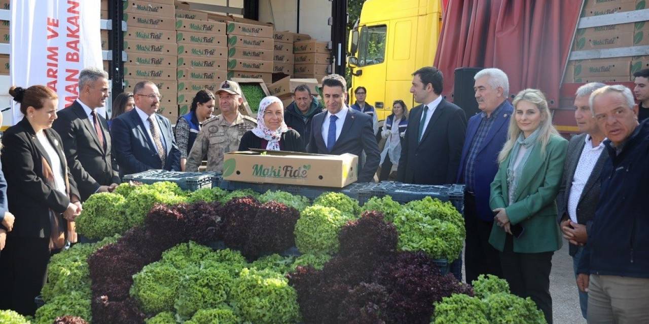 2 Milyon 900 Bin Marul Fidesi Dağıtımı Yapıldı