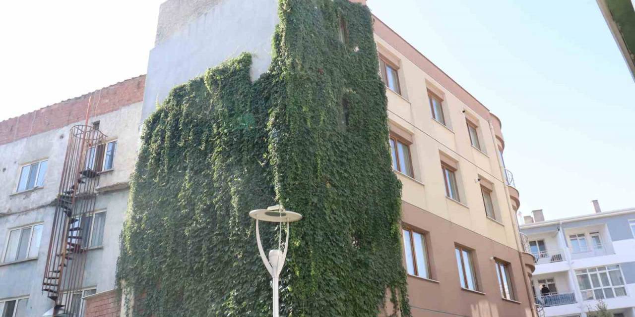 Eskişehir’de Sarmaşıkla Kaplı Apartman Görenleri Hayran Bıraktı