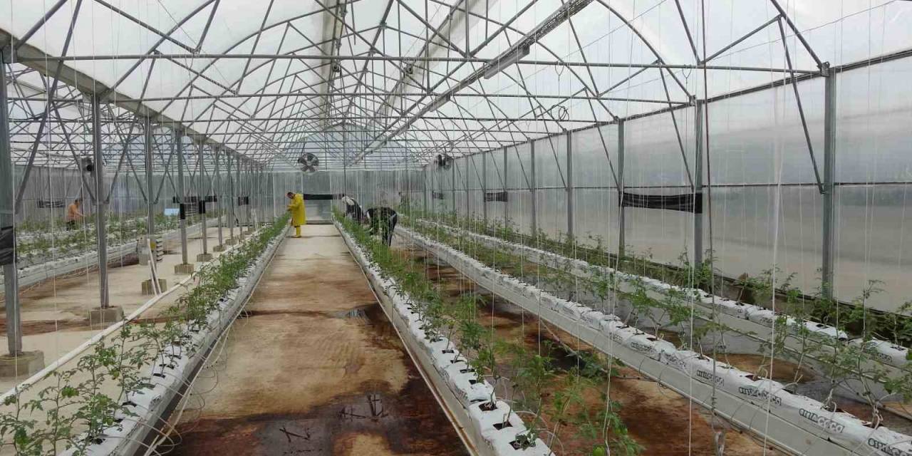 Engelli Bireyler ‘En Mutlu Köy’de Hayallerini Gerçekleştirecek