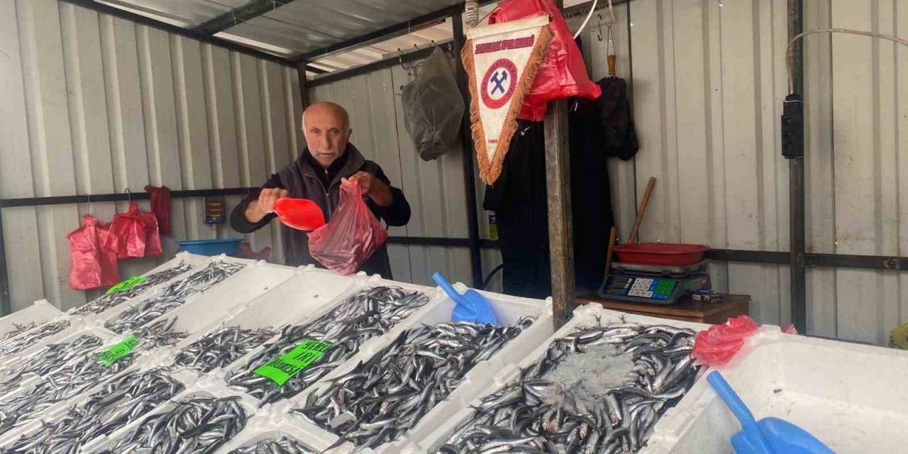 Fiyatlar Düşüşe Geçti, Balığa İlgi Arttı