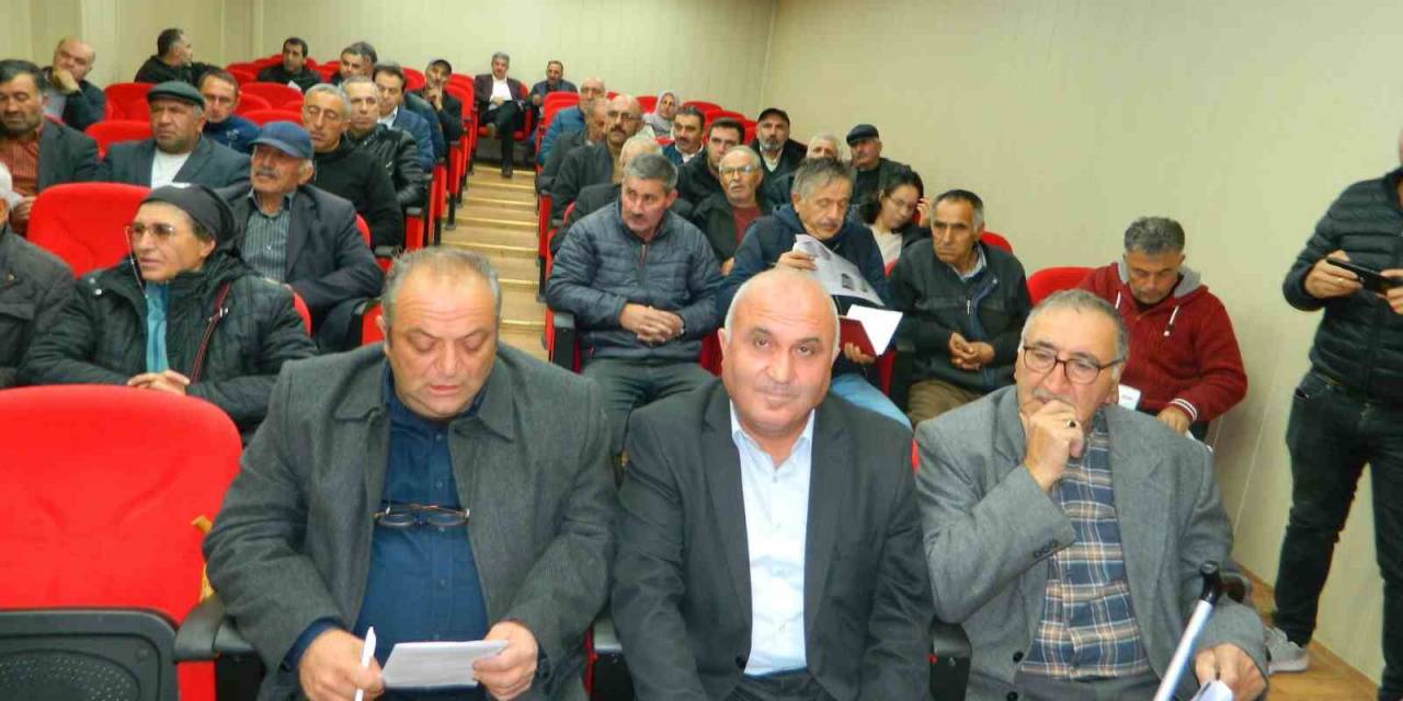 İklim Değişikliği Posof’ta Arıları Olumsuz Etkiledi