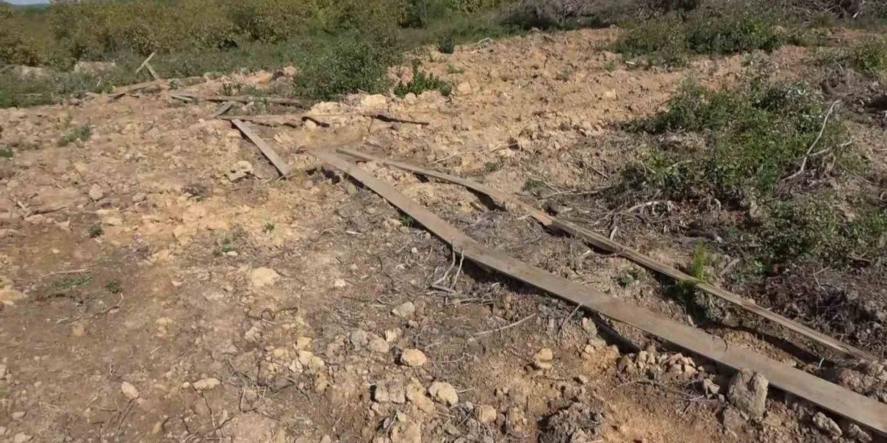 Pendik’te Ormanda Usulsüz Satılan Araziler Havadan Görüntülendi