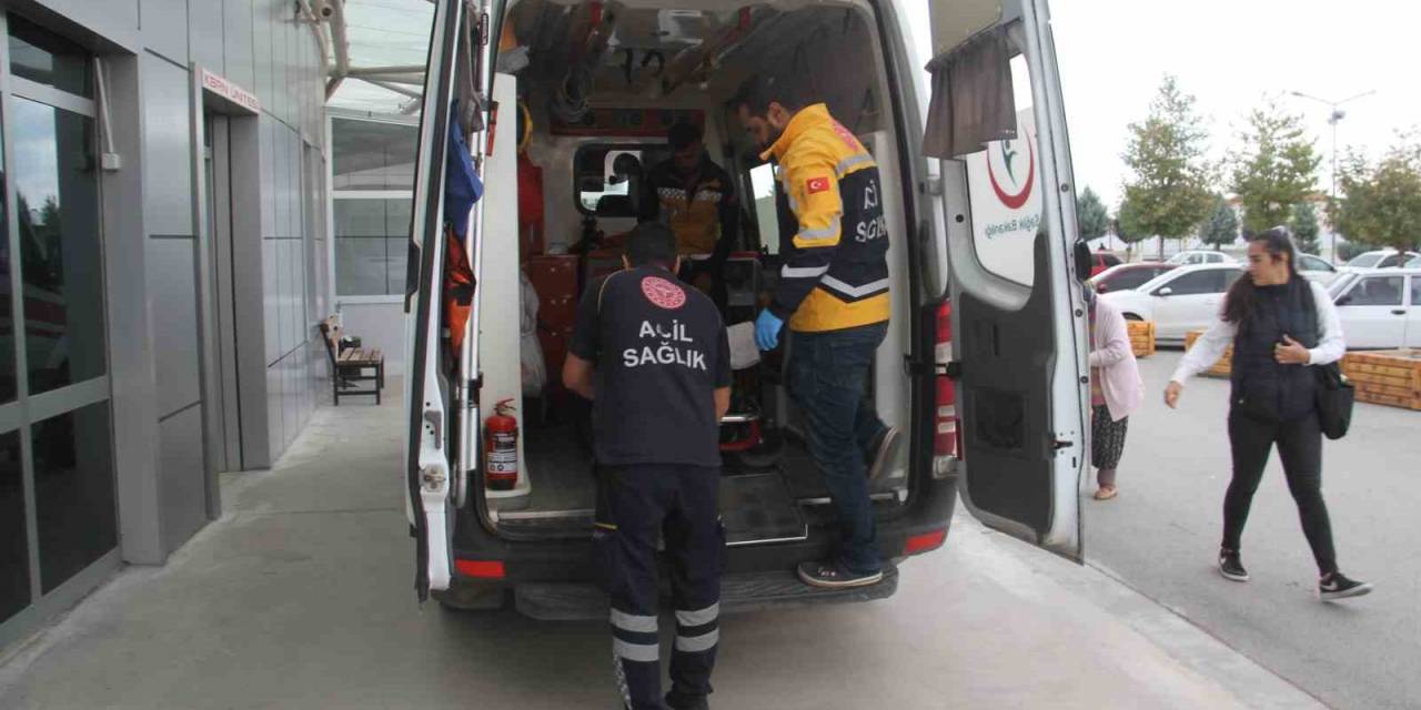 Konya’da Ceviz Ağacından Düşen 3 Kişi Yaralandı
