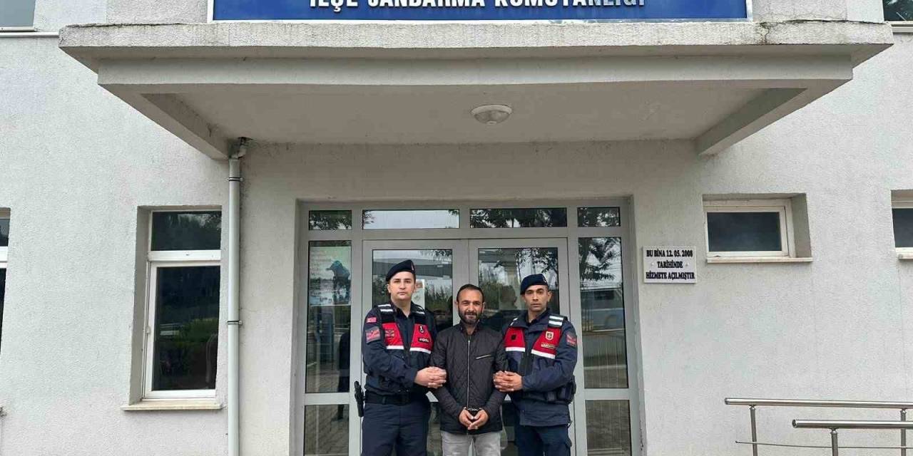 Bursa’da Kaçak Kazı Yapan Şüphelilere Jandarma Baskını: 5 Gözaltı