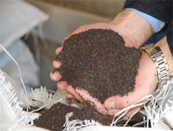 Çaydaki Bu Tehlikeye Dikkat