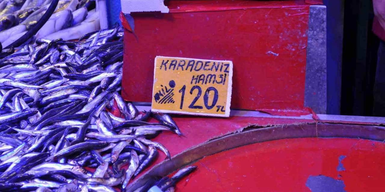 Denizlerdeki Fırtına Etiketlere Yansıdı