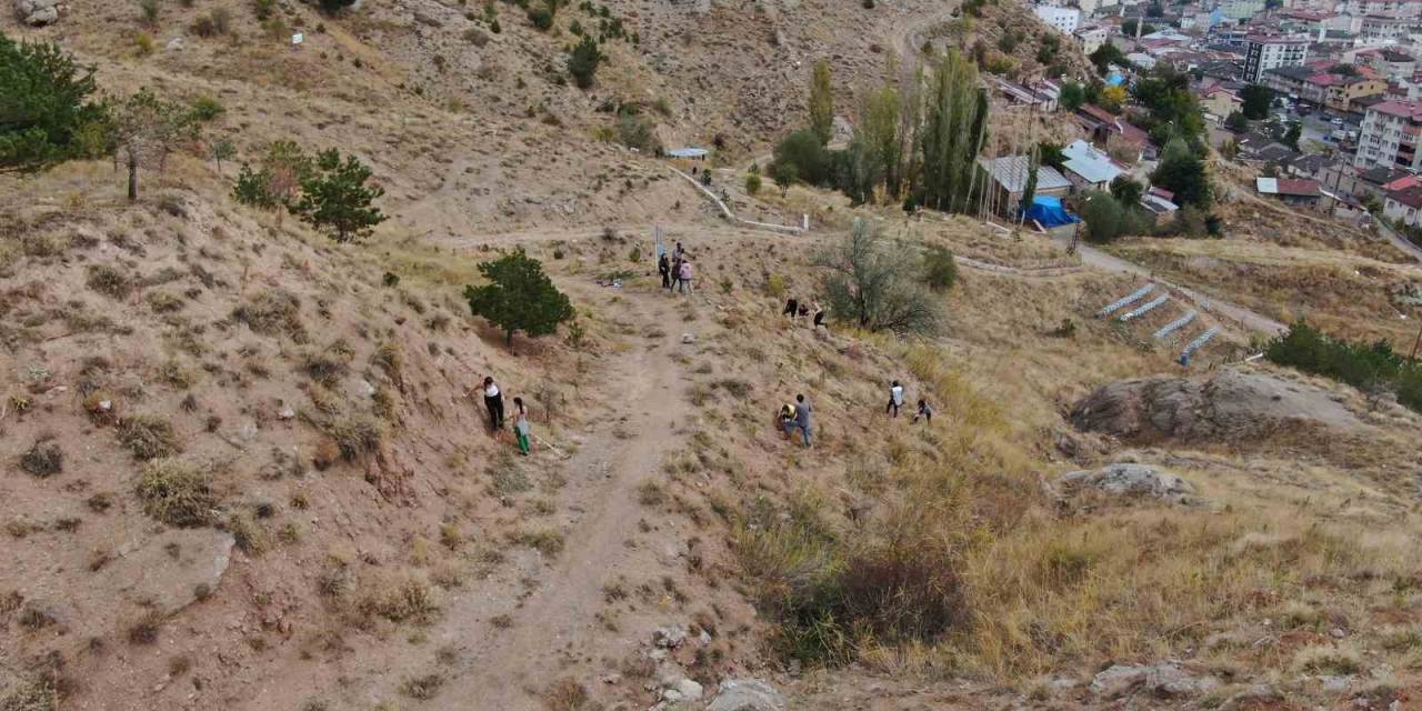 Dünyanın Dört Bir Tarafından Gelip 100. Yılda 100 Bin Fidan Diktiler