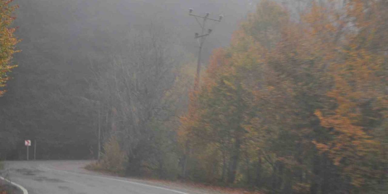 Abant Gölü Milli Parkı Sis Altında Kaldı