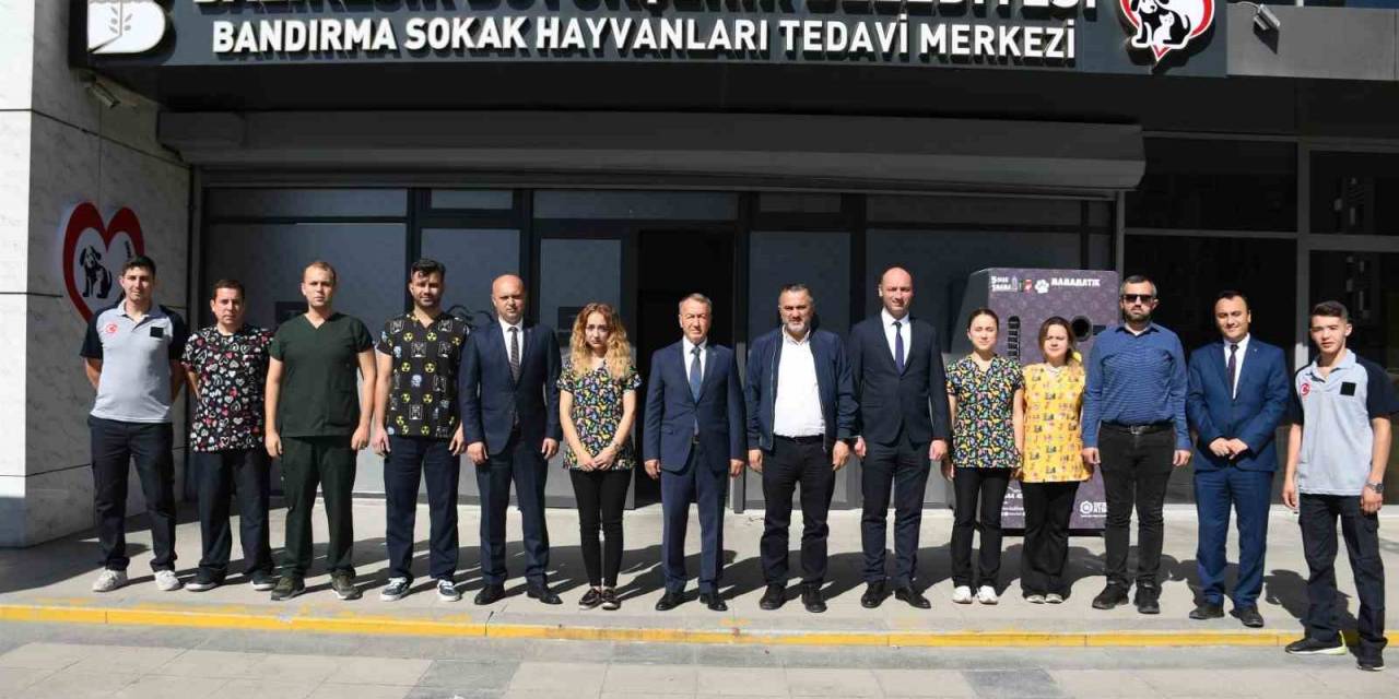 Bandırma’da Yüzlerce Sokak Hayvanına Şifa Oldu