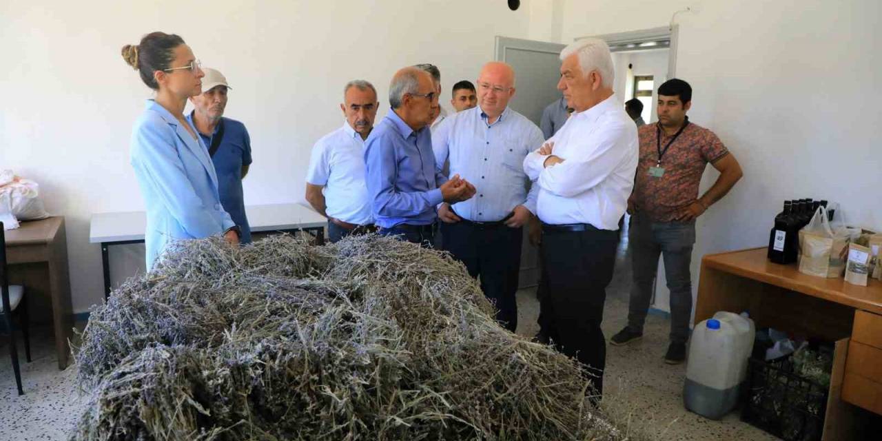 Tarımsal Güçbirliği Kazandırıyor