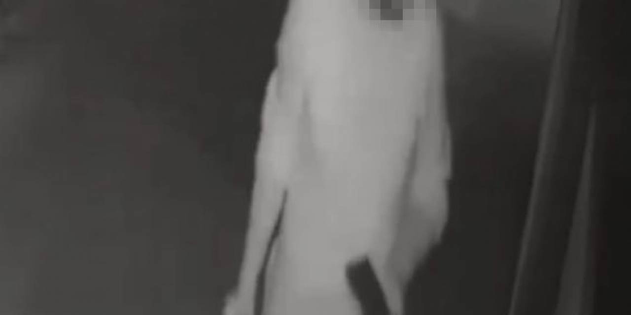 Yavru Köpeği Öldüren Sanık İçin Karar Çıktı