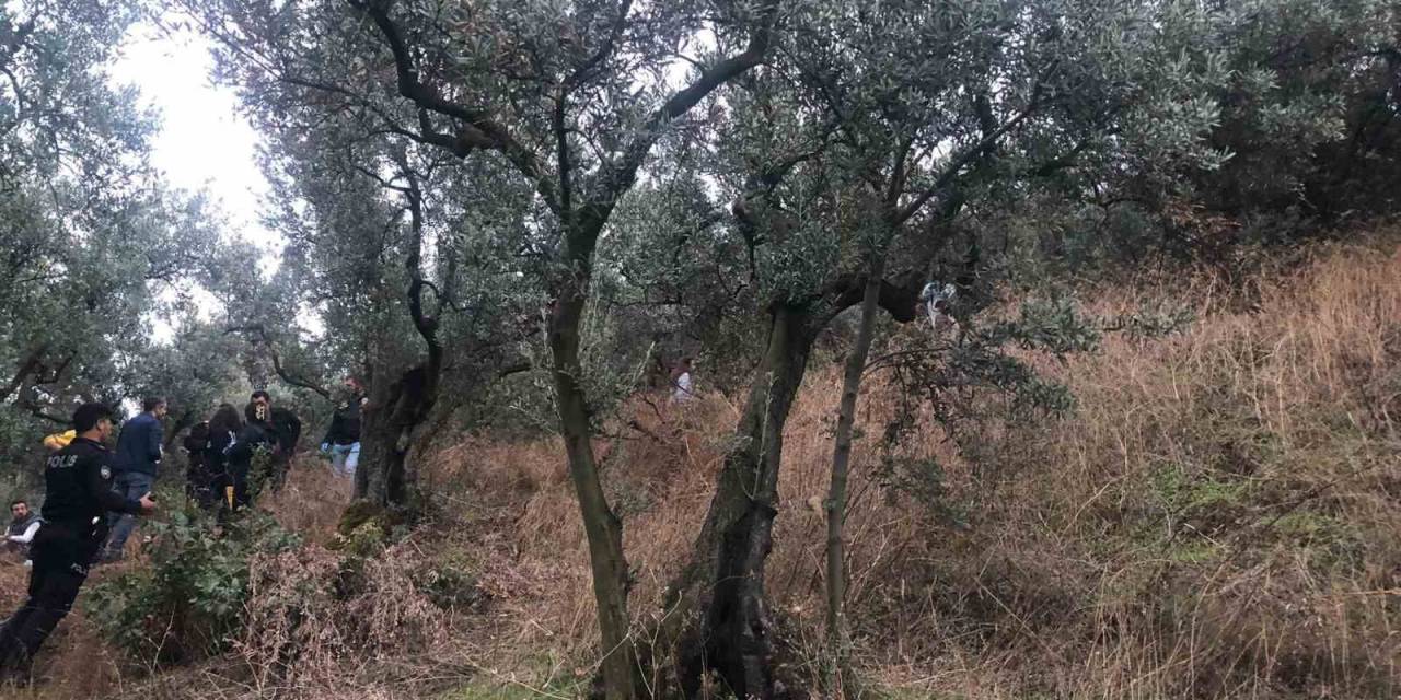 Zeytin Ağacına Asılı Bulunan Kadın Çocuklarını Sevgilisine Emanet Etmiş