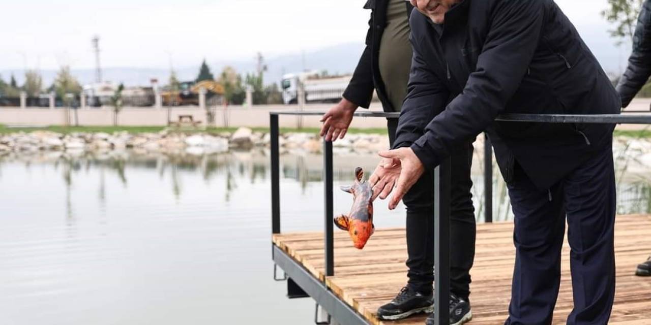 Yedigöller’e Koi Balığı Bırakıldı