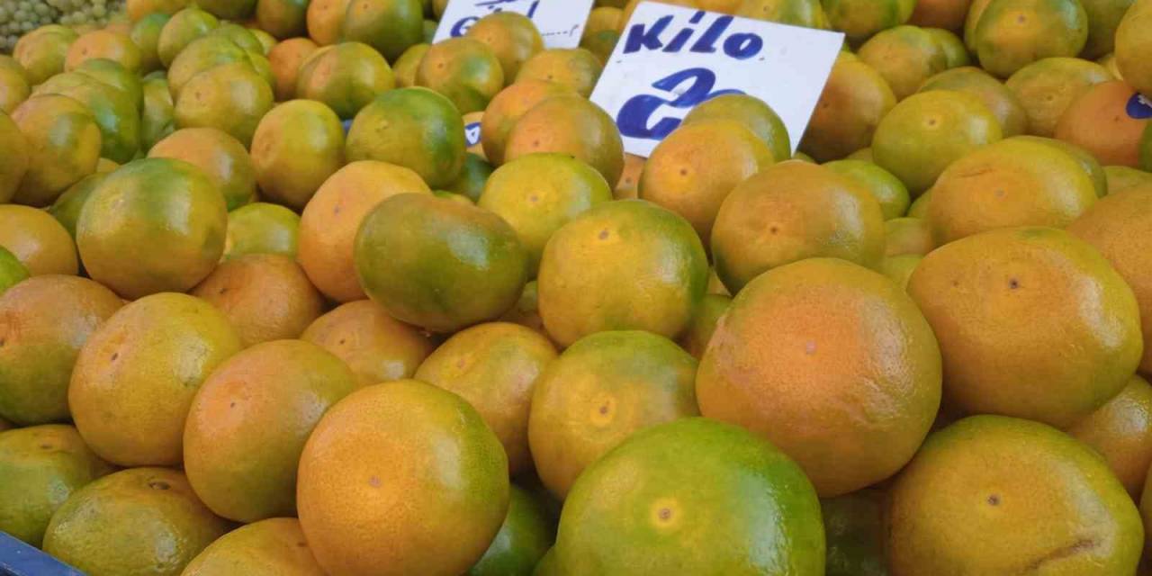 Pazarcının Vitamin Yönünden Zengin Mandalina Satışından Beklentisi Yüksek