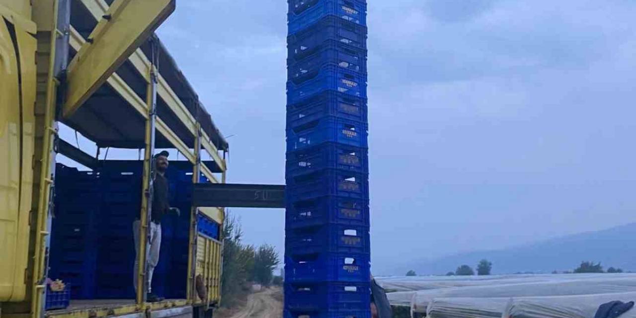 Kasa Herkül’ü İş Başında