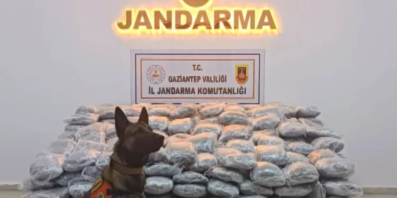 Gaziantep’te 121 Kilo Skunk Ele Geçirildi: 1 Şahıs Tutuklandı