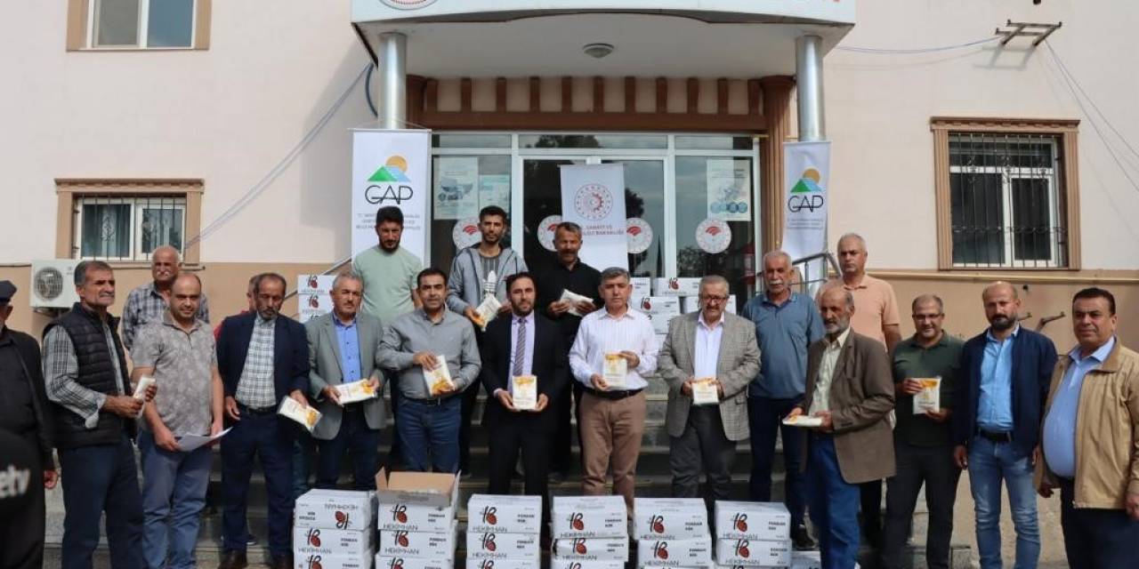 Arıcılara Arı Keki Dağıtıldı