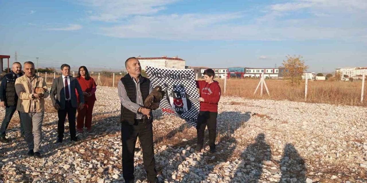 Tedavileri Tamamlanan Orman Kartalı Ve Şahin Doğaya Salındı