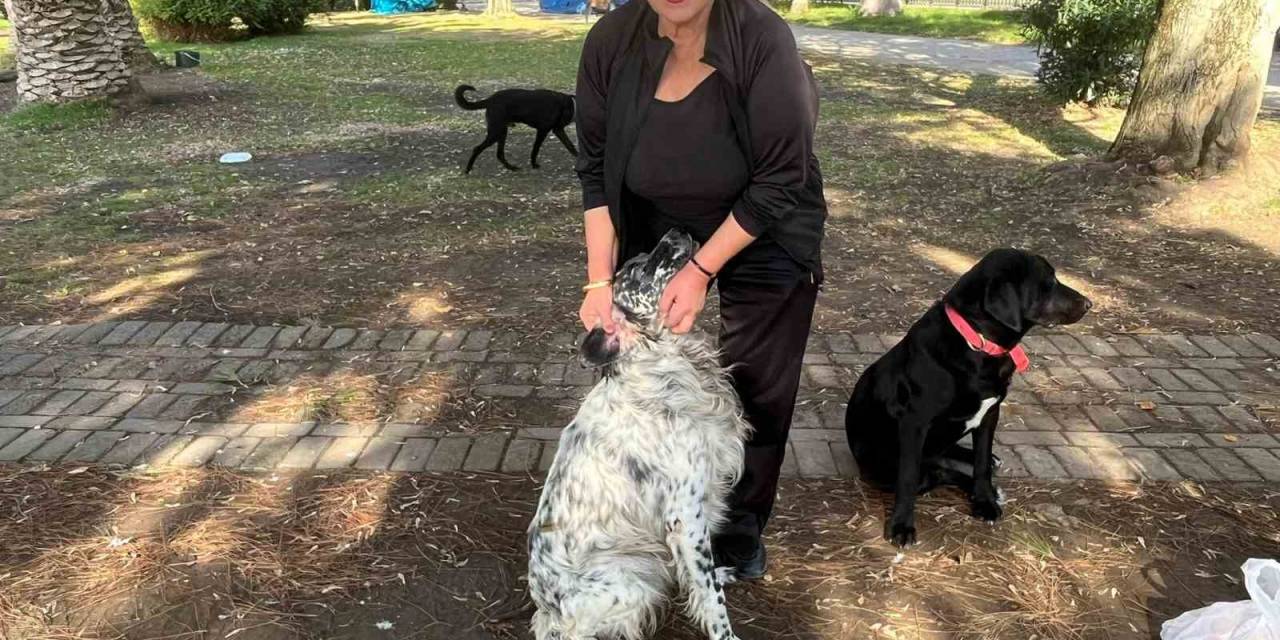 30 Yıldır Sokak Hayvanlarını Besliyor