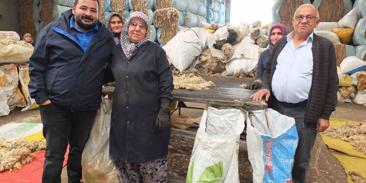 Balıkesir Kuzusunun Eti Marka Olurken, Yünü De Ülkeye Döviz Oldu