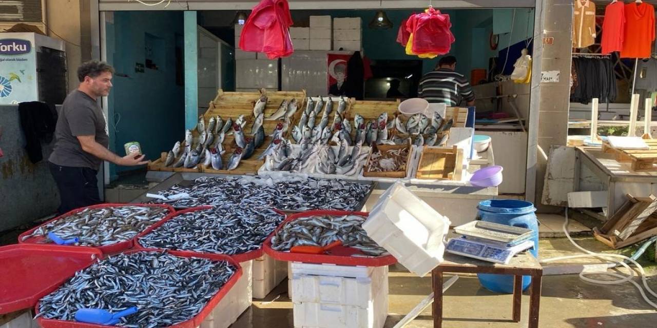 Karadeniz Hamsisi Tezgahları Süslüyor