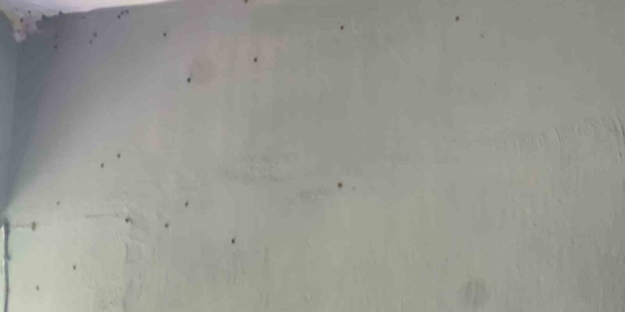 Köyü Uğur Böcekleri Bastı, Vatandaş Ne Yapacağını Şaşırdı