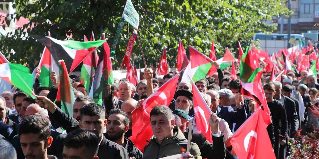 Siirt’te Filistin’e Destek Yürüyüşü
