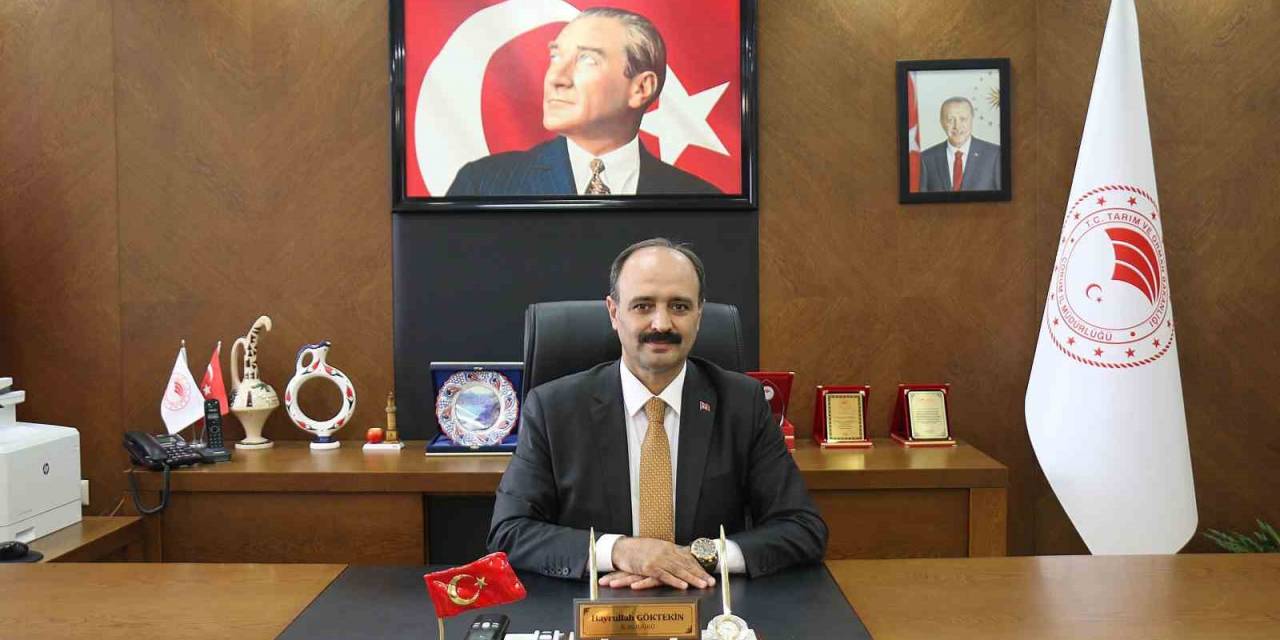 Çorum’da Kapatılan Hayvan Pazarları Tekrar Açılıyor