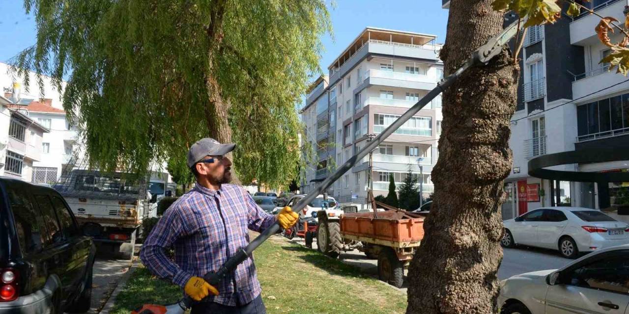 Bozüyük’te Yeşil Alanlarda Çalışmalar Devam Ediyor