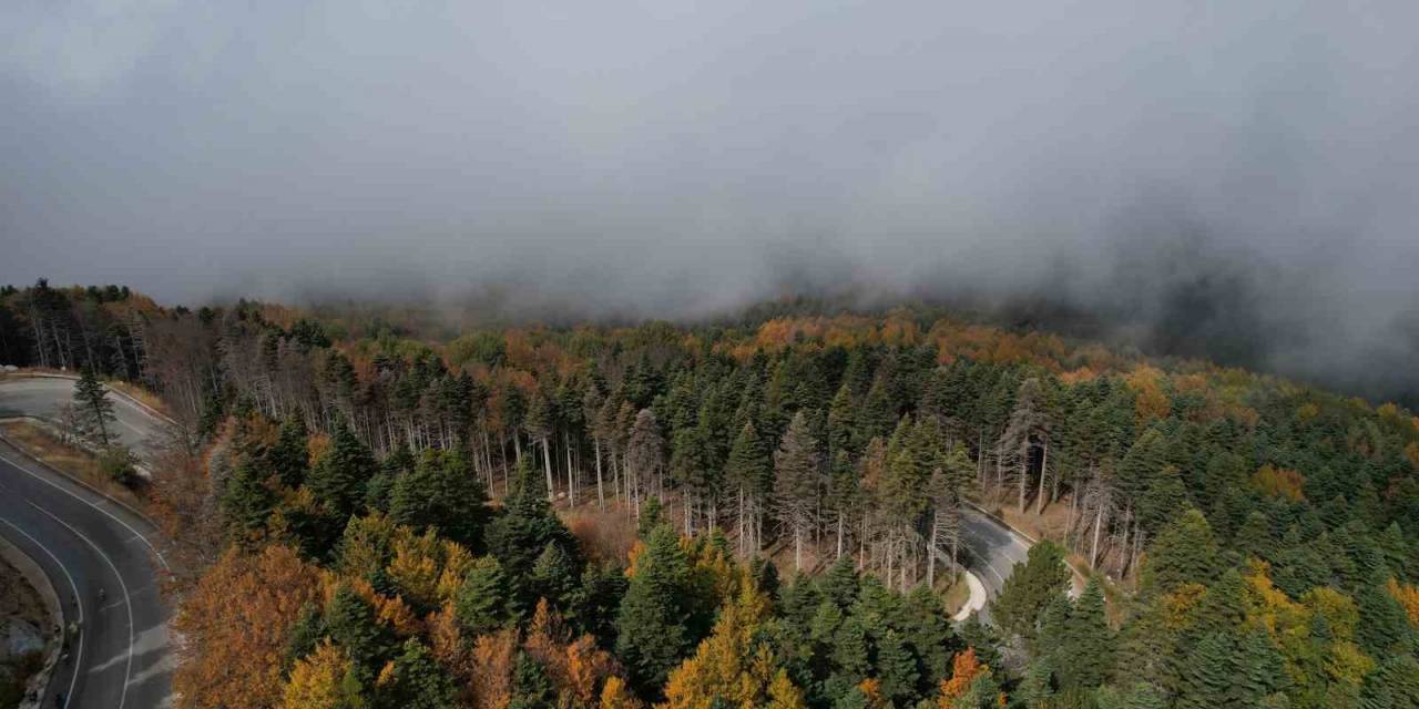 Uludağ’da Sonbahar Şöleni Havadan Görüntülendi