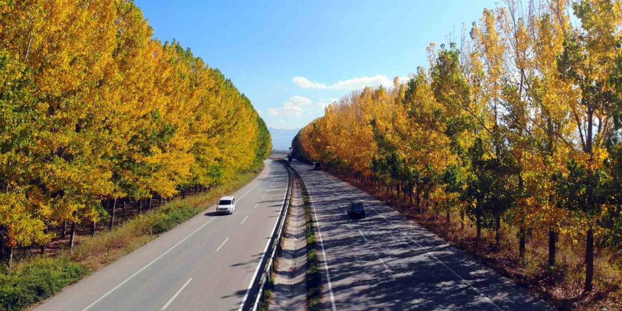 Sonbaharın Gelmesiyle Birlikte Karayolunda Renk Cümbüşü Yaşandı