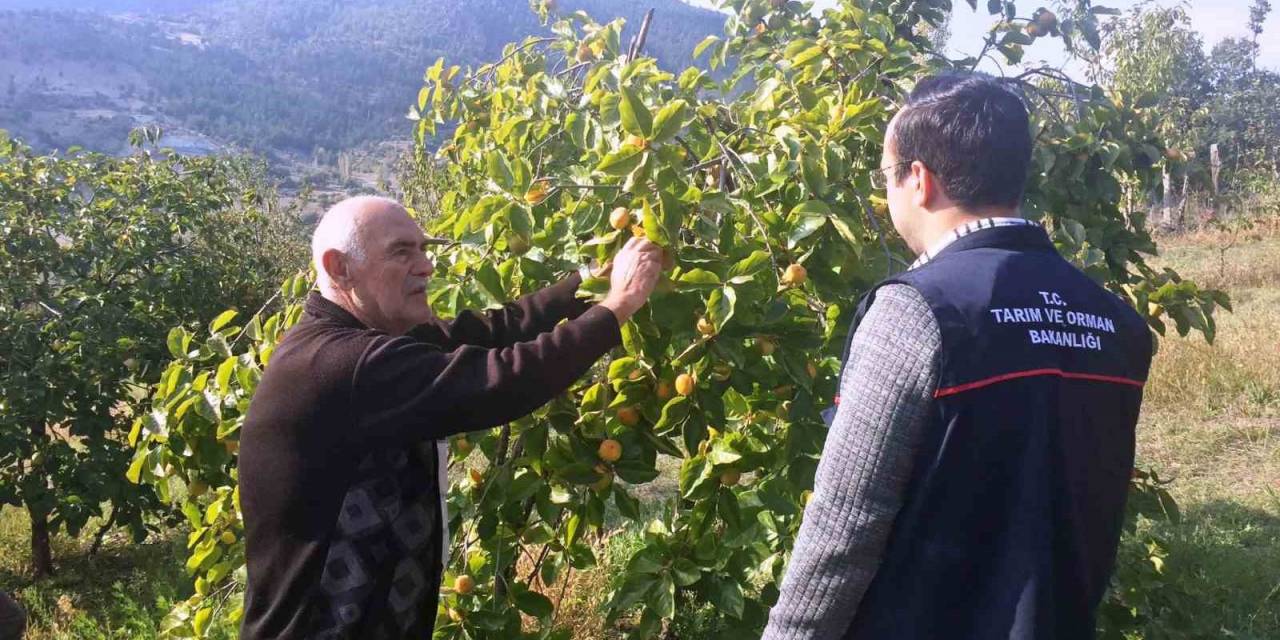 Emet’te Çiftçilere Meyve Ağaçlarında Bitki Sağlığı İle İlgili Mücadele Yöntemleri Anlatıldı