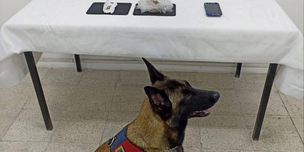 Jandarmadan Uyuşturucu Operasyonu, 23 Gram Bonzai Ele Geçirildi