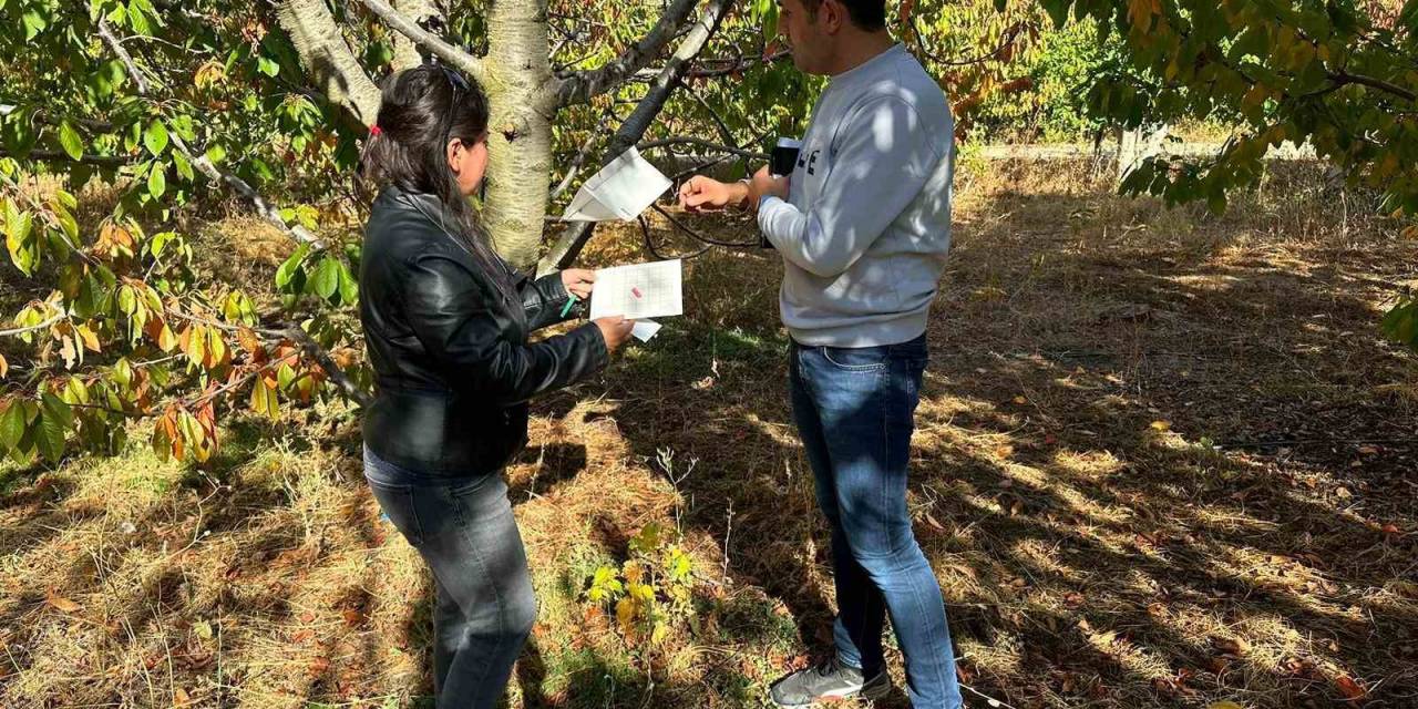 Hüyük’te Zararlı Sinek Tuzakları Kontrol Edildi