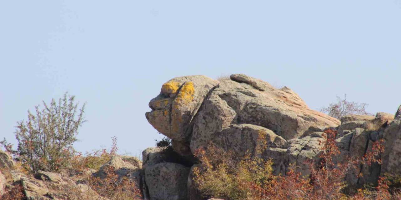 O Kaya Görenleri Şaşırtıyor