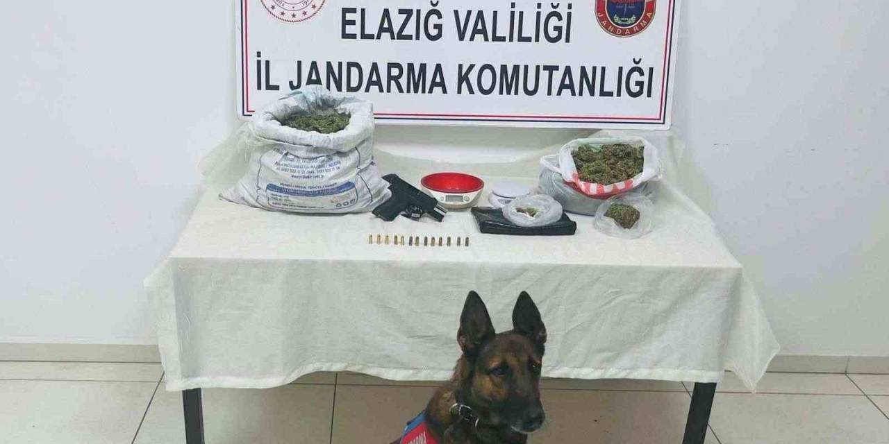 Elazığ’da Uyuşturucu Operasyonu: 2 Gözaltı
