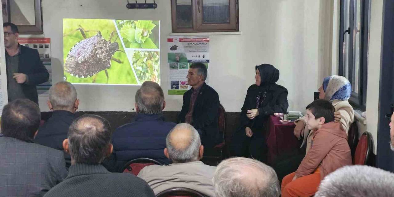 Gördüğünüz Yerde İmha Edin