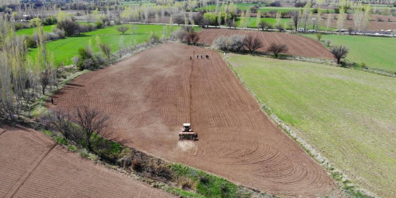 Tarımsal Girdi Fiyat Endeksi Yıllık Yüzde 41,33, Aylık Yüzde 6,94 Arttı