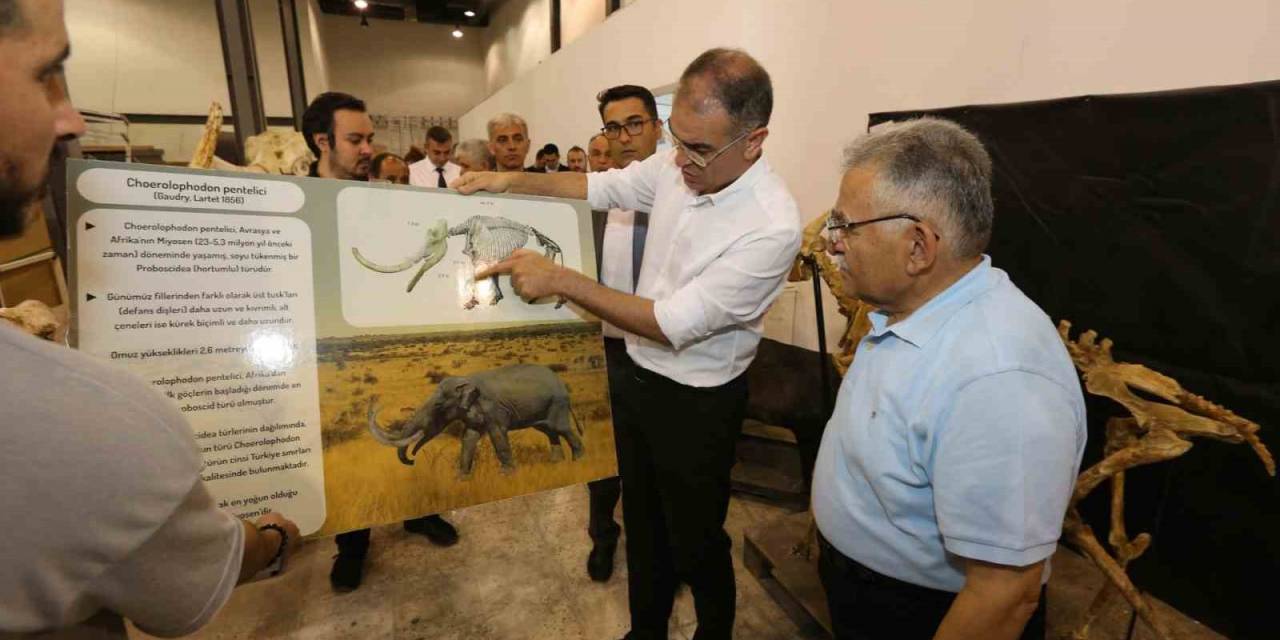 Paleontoloji Müzesi İlgi Çekmeye Devam Ediyor