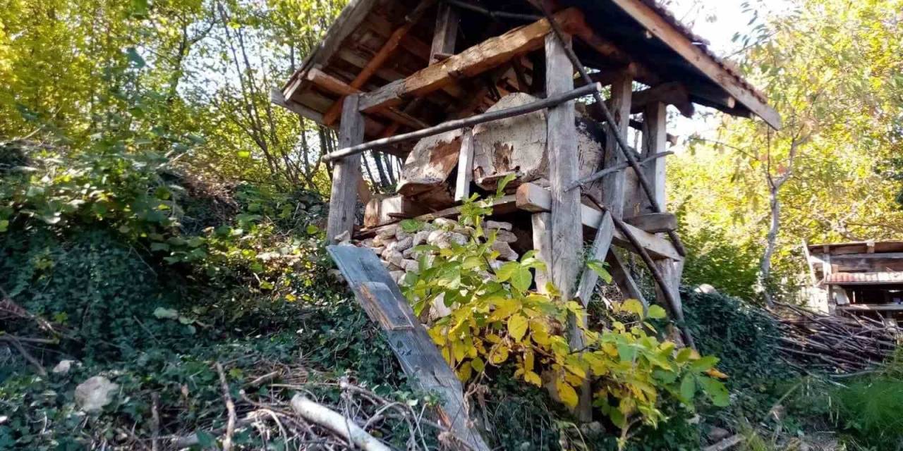 Evin Bahçesine Kadar Gelen Ayı, 40 Kovan Arıya Zarar Verdi