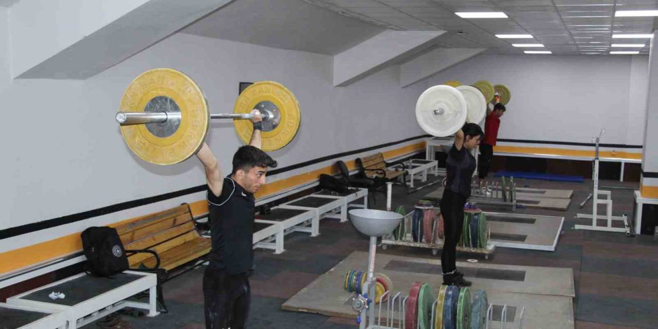 Şırnaklı Milli Halterci Gözünü Dünya Şampiyonluğuna Dikti
