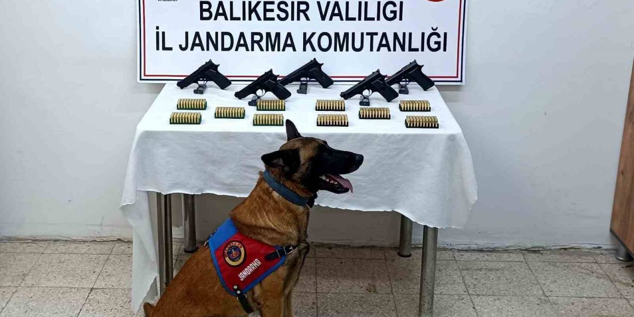 Bomba Köpeği ’vaha’ Kaçak Silahları Buldu