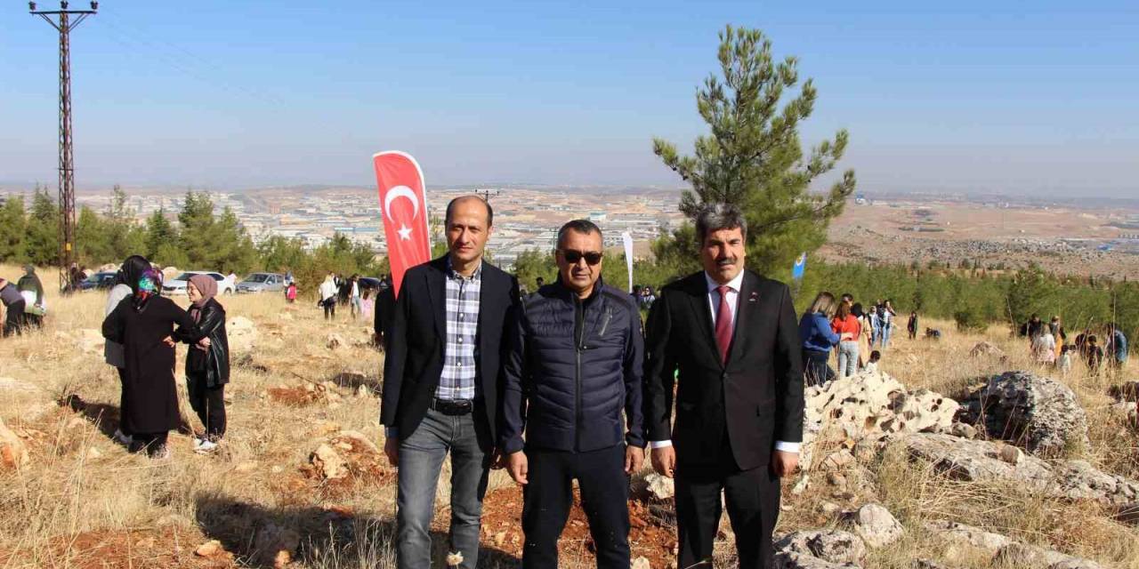 Gaib’den Cumhuriyetin 100. Yılında 100 Fidan