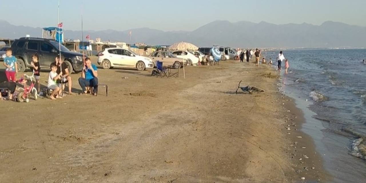Hatay’da Binlerce Balık Karaya Vurdu